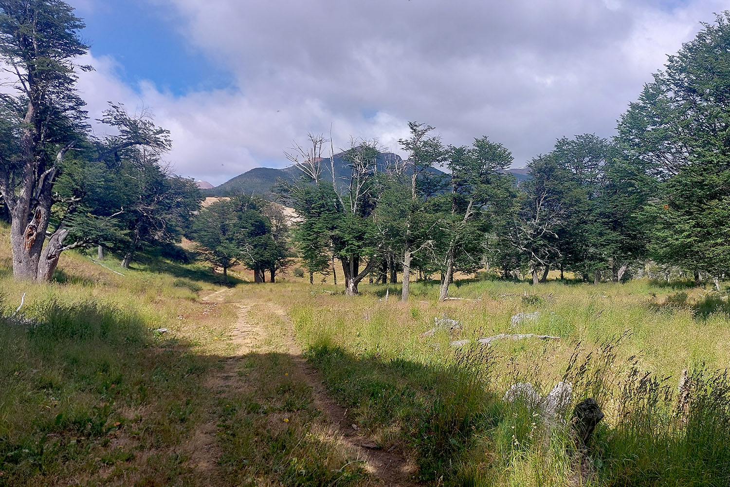 07 - Cerro Castillo D1 